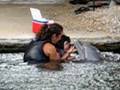 Kahala DolphinQuest6