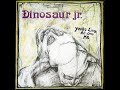 Dinosaur Jr.