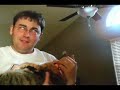 My Cat My Cat