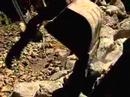 Stream Maintenance Project