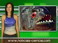 Telurica TV 160 - A puro html Telurica TV 160 - A puro html