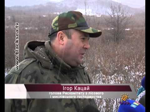 Смотреть видео