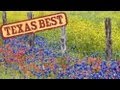 Texas Best - Wildflowers (Texas Country Reporter)