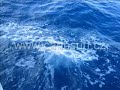 Croatia Shipping on the Yacht.