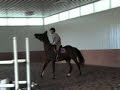 Horse Rearing