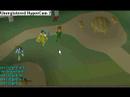 1st stupid rs vid