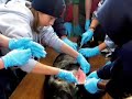 Marine Science Seminars