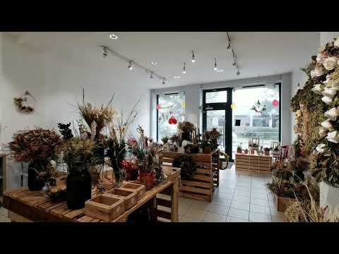 Video Prodej obchodního prostoru, 82 m2, Znojmo