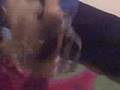 videos de Barbies Breakdown