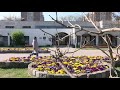 Körkép - Virágos Újpest! Körkép - Virágos Újpest!