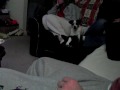 This is Dude