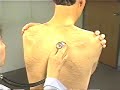 auscultacion torax posterior