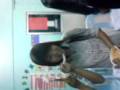 videos de MOV01297