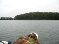 Lake Lanier Striper Fishing.Topwater  on a Spro Swim Bait! Out of Line Fishing Dot Com....