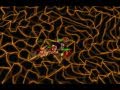 [Rsmv] Falling inside the black