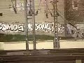 DNTEL DNTEL