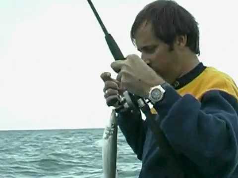 King George Whiting Bag Out!!!