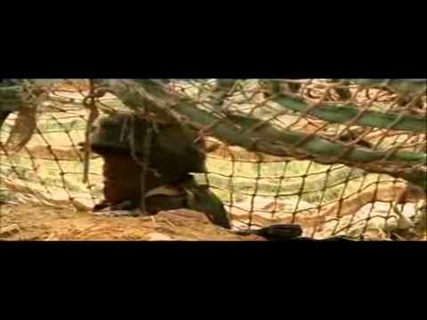 how to i am join indian army