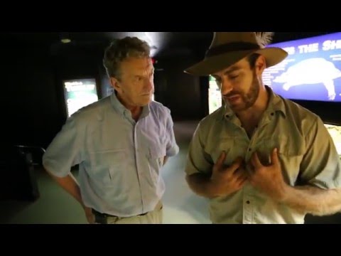 YouTube reptile video