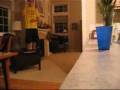 videos de Ping Pong Ball