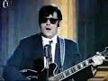 VH as Roy Orbison