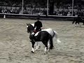 Dressage Pas de Deux - www.dressage-connection.com Dressage Pas de Deux - www.dressage-connection.com