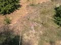 palomos deportivos 2 (Màlaga) palomos deportivos 2 (Màlaga)