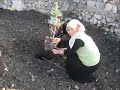 sulusaray fidan dikme töreni sulusaray fidan dikme töreni