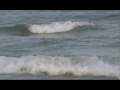 KYOSHO RC SURFER