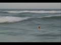 KYOSHO RC SURFER