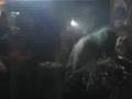    Toxocara Part 1