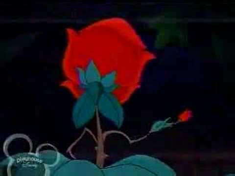 Imagen de previsualización de YouTube