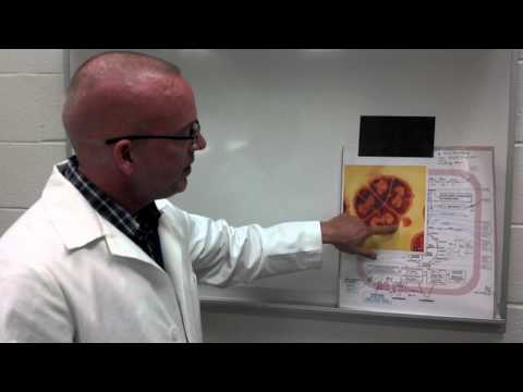 how to isolate extremophiles