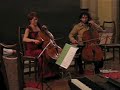 12 violoncelli by Michael Flaksman