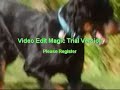 cowboy-junkies-at-westfest-2005.html