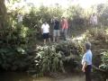 Imbecil de Araras na cachoeira de São Thomé