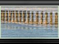 De polder