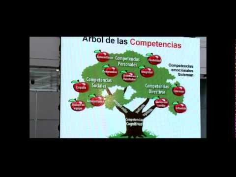 Imagen de previsualización de YouTube
