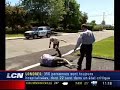 big boys fight