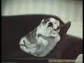 Fotos engraçadas