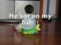 videos de 2 year old doing chores