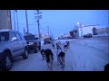 Click here to watch this video Iditarod 2010: 