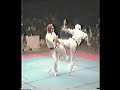 karate reel, 6 times karate world champion best fights, and interviews around the world.