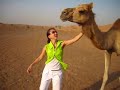 Petting a camel in the desert sand in Dubai, UAE