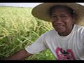 ILOKANO KAMI A NAPEKLAN (ILOCANO SONG) ILOKANO KAMI A NAPEKLAN (ILOCANO SONG)