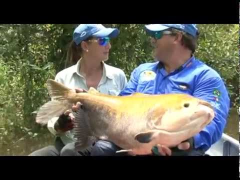 Bom de Pesca Clip Troféus