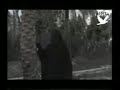 يخوف جني طلع له