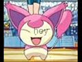 pokemon love delcatty and mightyena