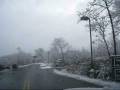 First Snow in Milwaukee - Nov 08