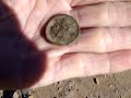 Metal Detecting An Old Carnival Site.wmv